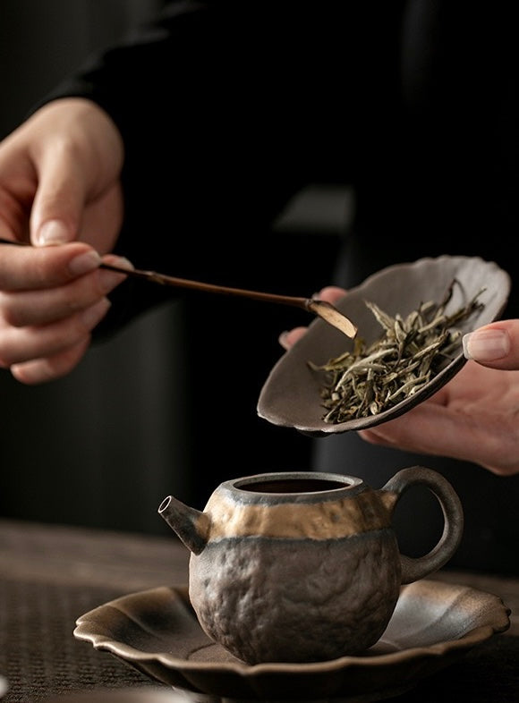 Turtle Shell tea scoop
