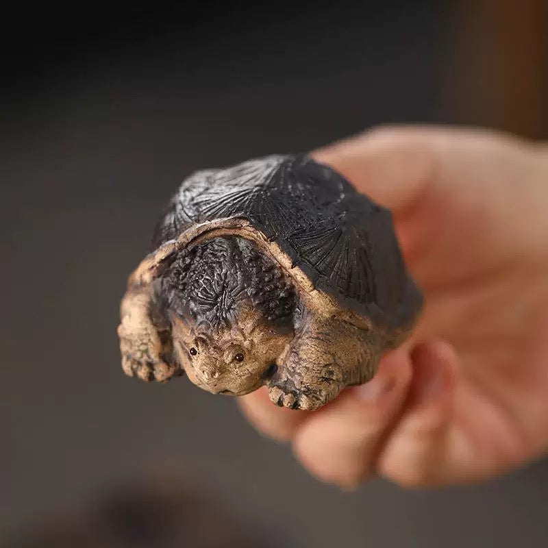 Little Crocodile Turtle tea pet