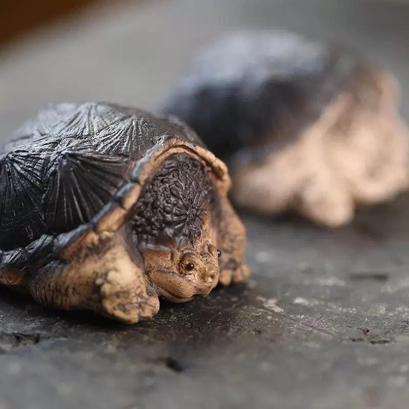 Little Crocodile Turtle tea pet