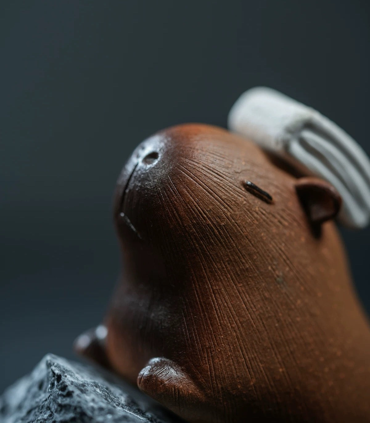Kapibala tea pet