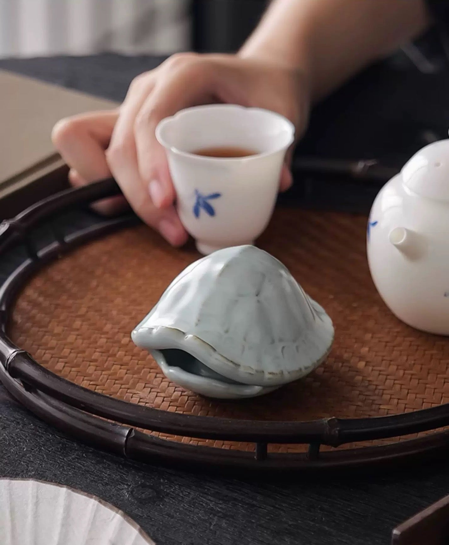 Blue Turtle Shell tea pet