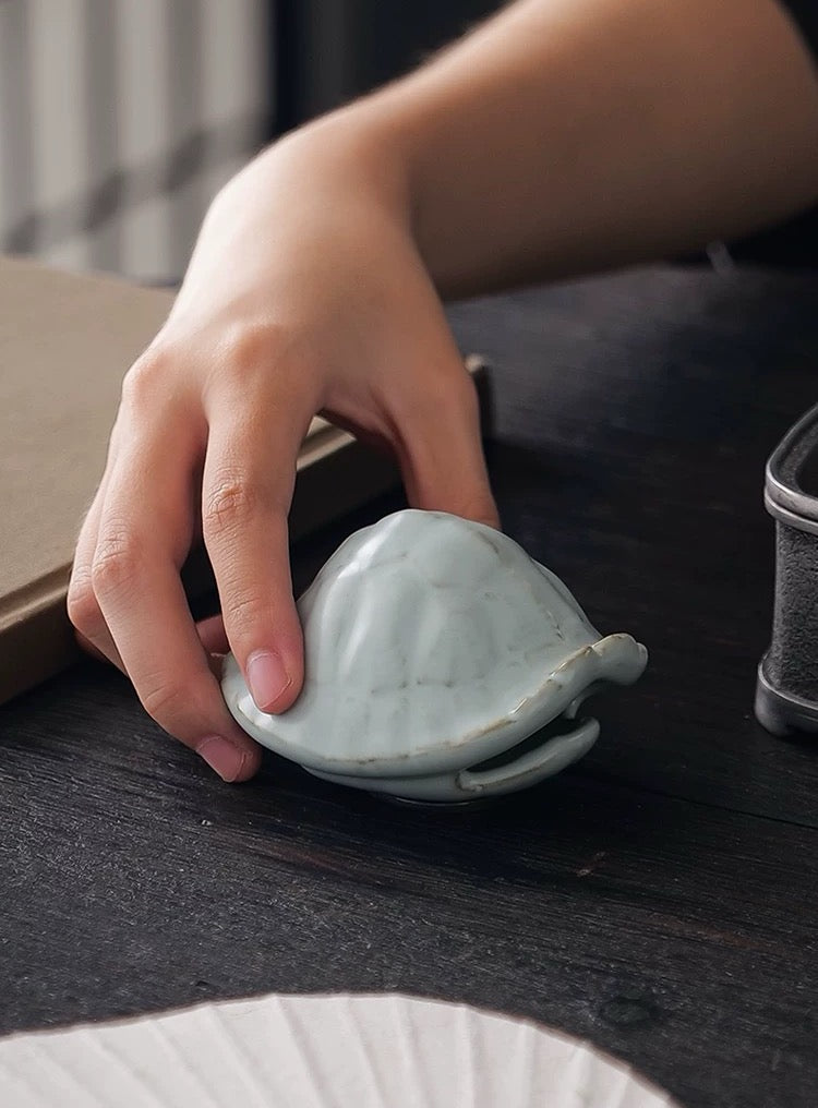 Blue Turtle Shell tea pet