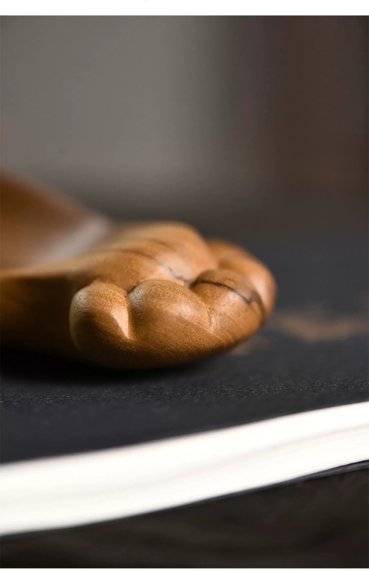 Cat PAWS tea scoop