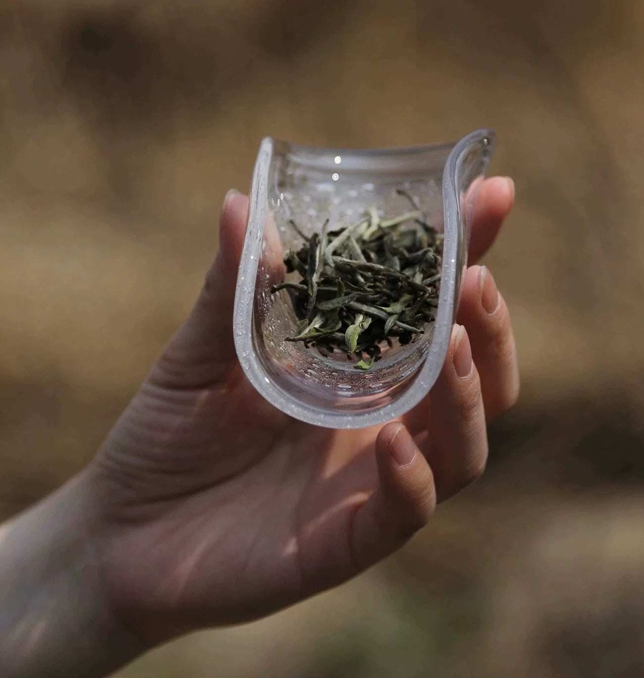 Bubble Glass tea scoop