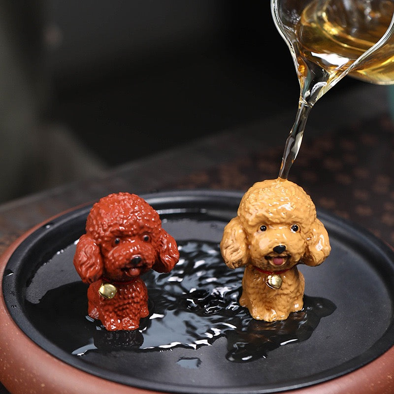Small Teddy tea pet
