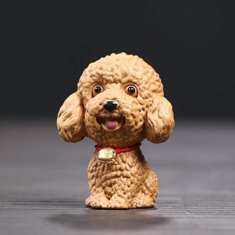 Small Teddy tea pet