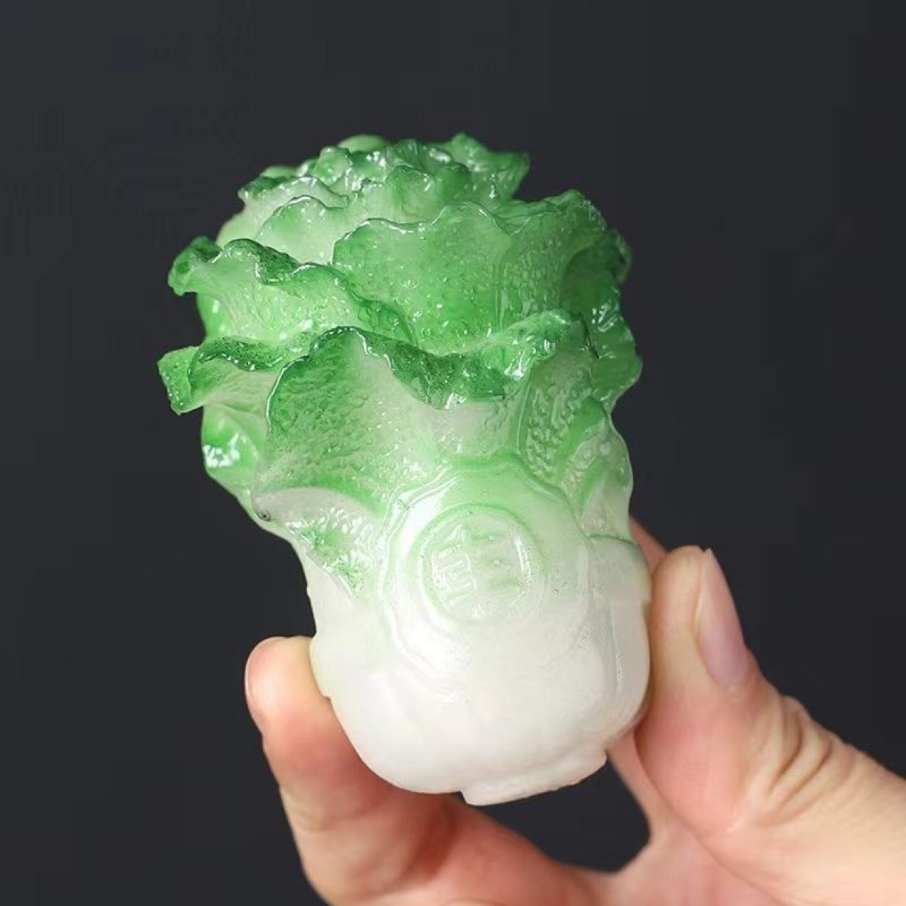 Baby Cabbage tea pet