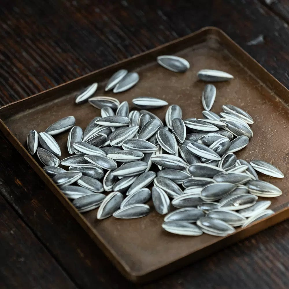 Melon Seeds tea pet