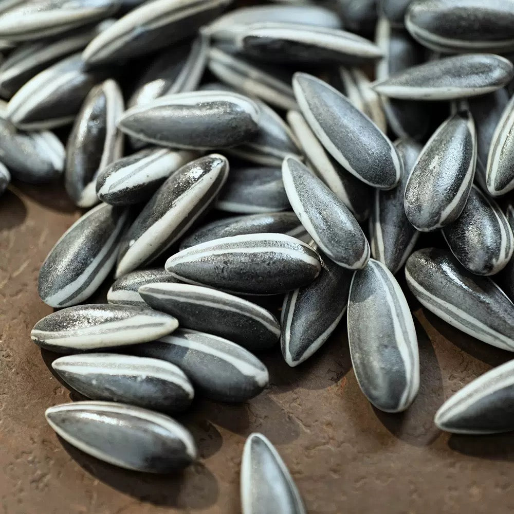 Melon Seeds tea pet