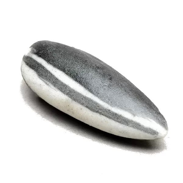 Melon Seeds tea pet