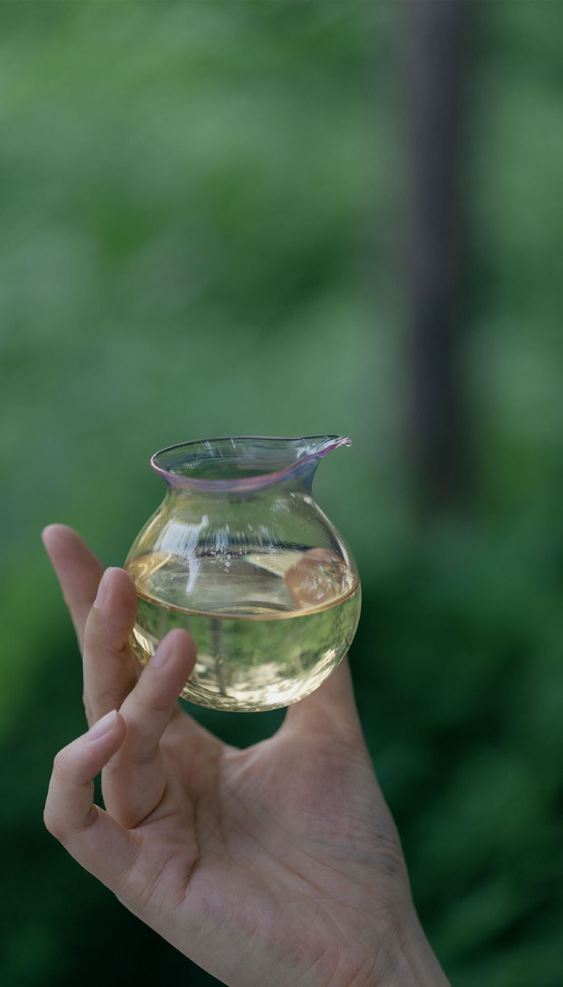 Little Circle fair cup